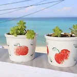 شقة فندقية Blevista