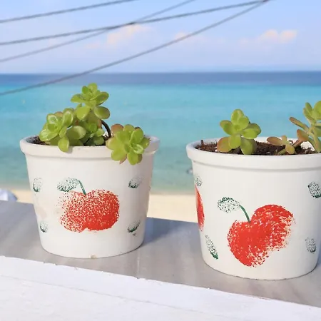 Апарт-отель Blevista