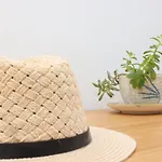 Blevista 폴리크로노